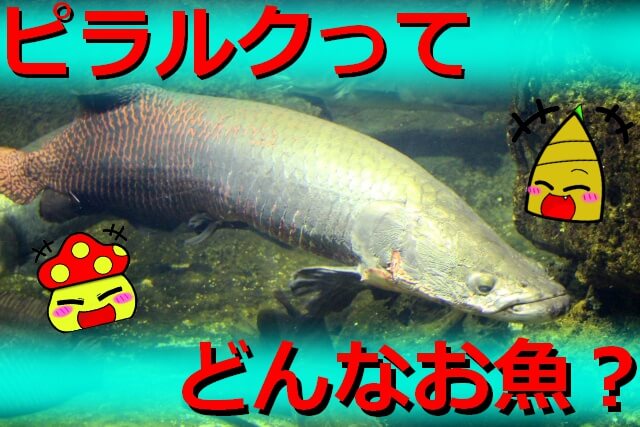 Thumbnail of post image 009